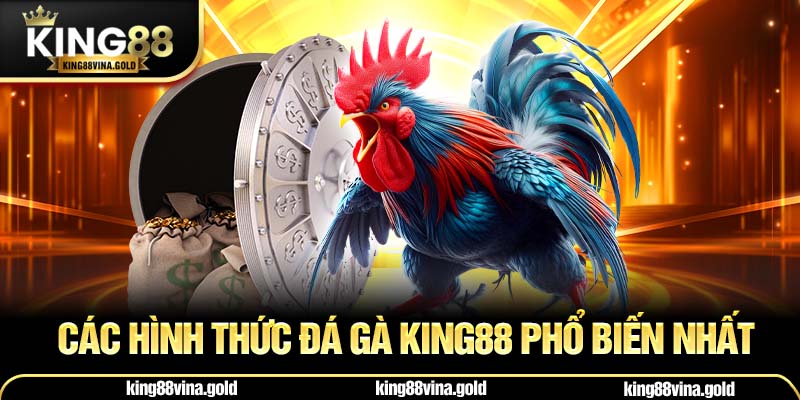 Các hình thức đá gà King88 phổ biến nhất