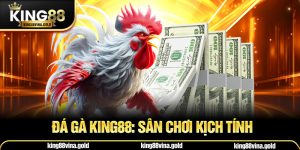 Đá Gà King88: Sân Chơi Kịch Tính