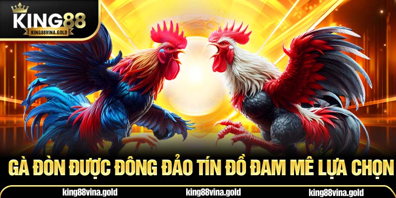 Gà đòn được đông đảo tín đồ đam mê lựa chọn