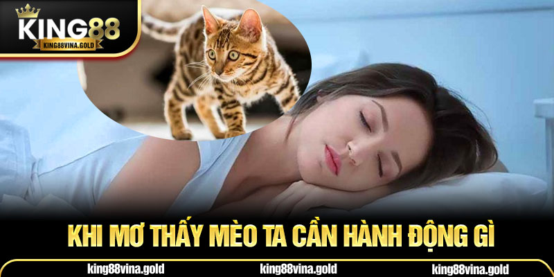 Mơ Thấy Mèo – Giải Mã Điềm Báo