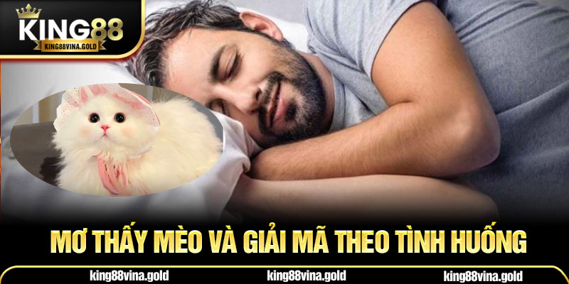Mơ thấy mèo và giải mã tình huống