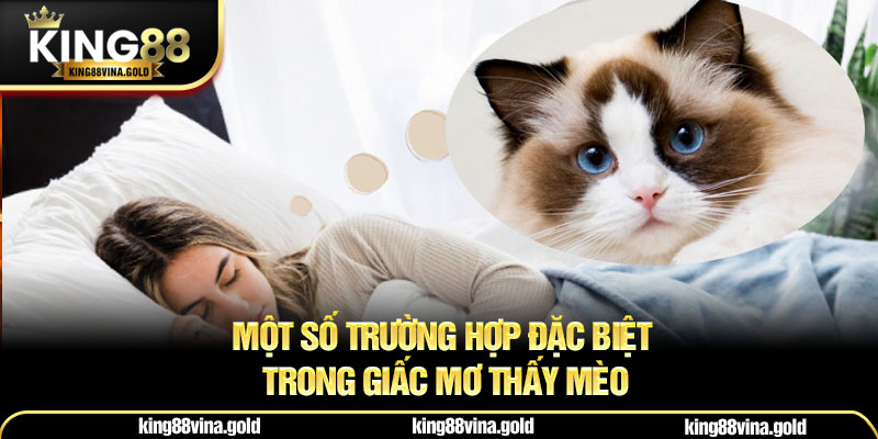 Một số trường hợp đặc biệt trong giấc mơ thấy mèo