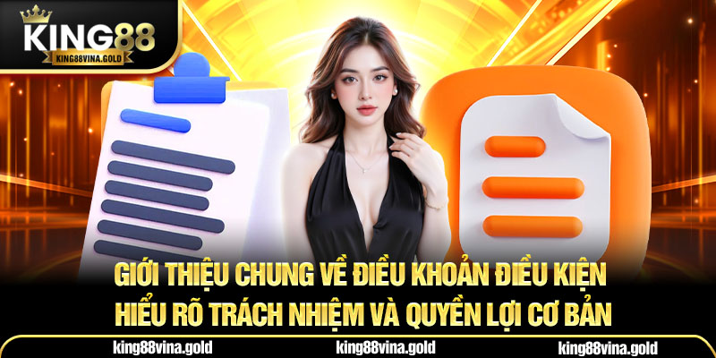 Giới thiệu chung về điều khoản điều kiện hiểu rõ trách nhiệm và quyền lợi cơ bản
