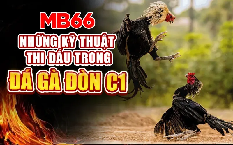Kỹ thuật thi đấu trong đá gà đòn C1